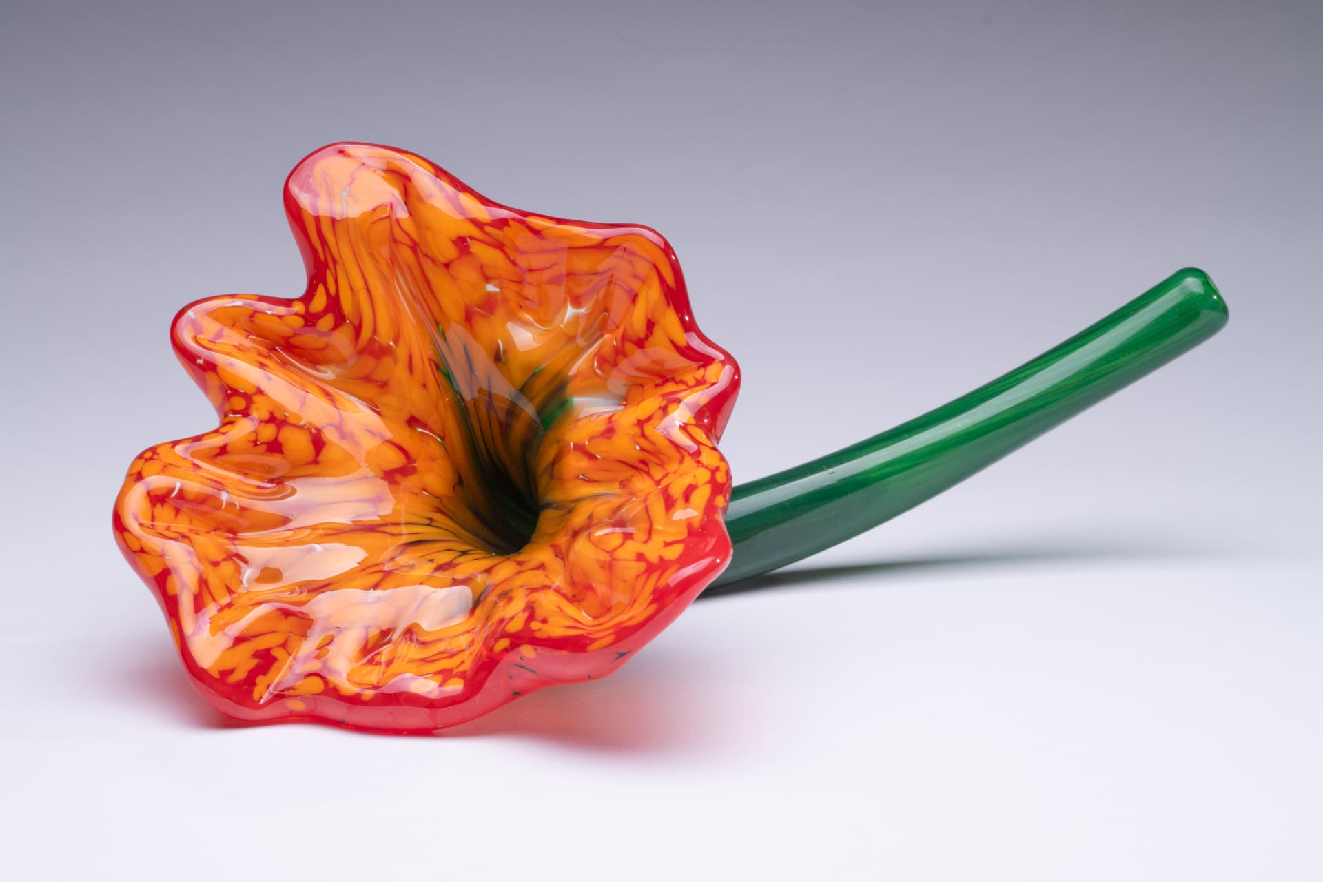 Full Bloom —  12th Grade
